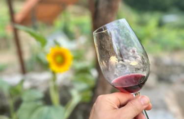 cabaña do rei - Foto 56