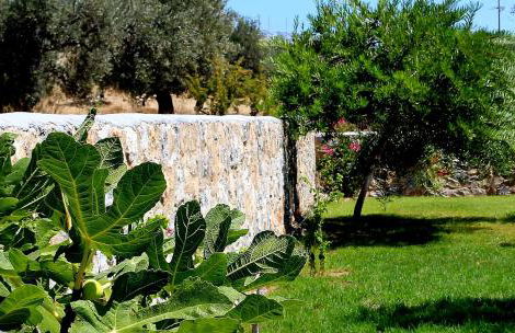 Villa Cleoboulos - Foto 22