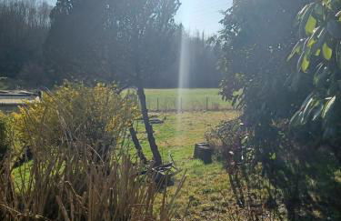 Ferienhaus Fuchs&Hase - Foto 36