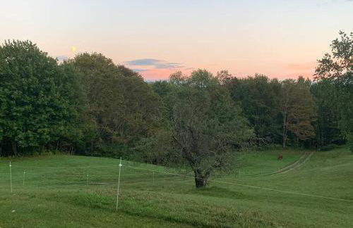 The Creek Cabin at Sky Hollow - Foto 36