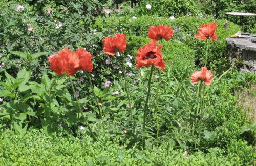 Martina's place - Foto 15