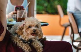 Quinta da Bicuda - Foto 15