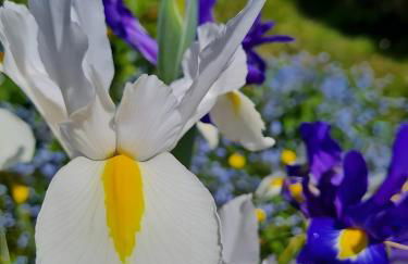 Gîte De L'alliance - Photo 15