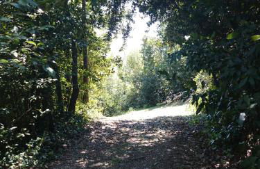 Il Casino di Remartello - Foto 72