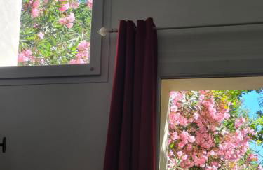 Les Pierrades en Camargue - Photo 12