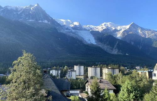 Charmant studio Chamonix - Foto 16