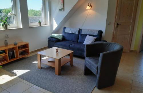 Auf dem Hufen - Foto 4