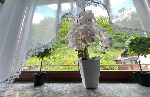 2 Zimmer Ferienwohnung Denis 2 - Foto 25