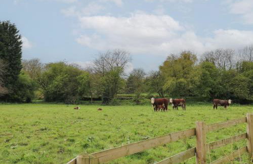 Rowan Cottage - Fold Yards - Foto 30