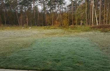 Sonnenstrahl im Küstenwald - Foto 15