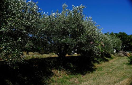 Terre de Lumière - Foto 23