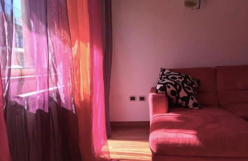 Le Ortensie in centro e vicino al mare - Foto 26