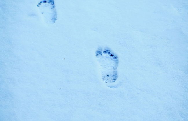 Barefoot Villas Cabin 1 Beaver w/ Hot tub - Photo 23