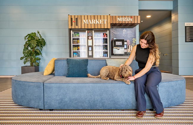 Hesperia Sant Joan - Foto 7