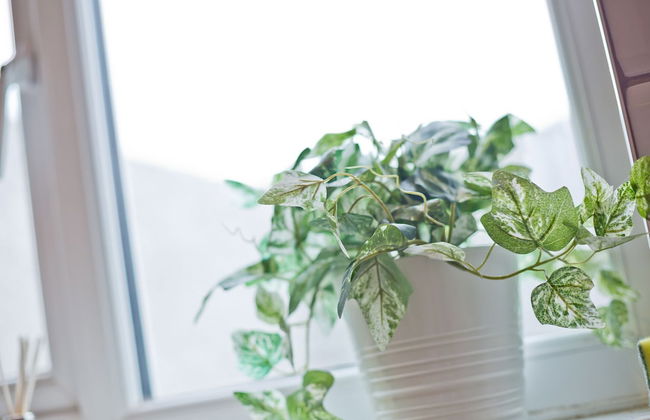 Malleus House - Photo 30