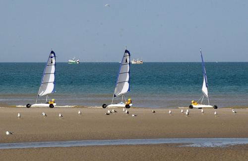 Appartement rénové à 200m de la mer - Foto 6