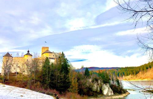 Willa Jagoda duży domek w górach 12-15 osób,jacuzzi, kominek,bilard - Foto 35