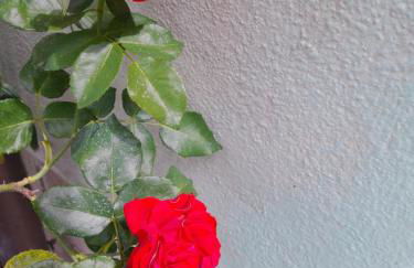 Appartamento Rosanna - Foto 38