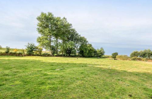 Deichblick - Photo 24