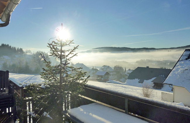 Schwarzwaldblick IV - Foto 1