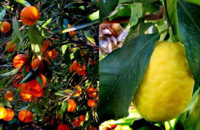 Casa Champasak - Foto 57