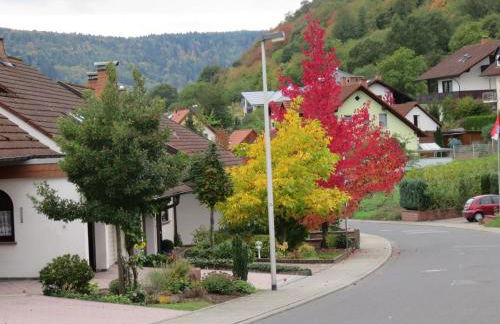 Ferienwohnungen Haus Albert - Foto 41