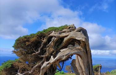 Las Casas del Abuelito Julián & la Abuela Leonor - Foto 127