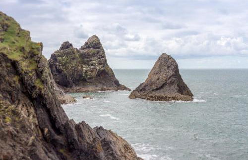 Ty Pren Bach - Foto 43