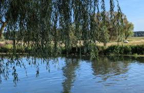 Spreewaldhäuser Golinski mit Kamin am Neuendorfer See - Foto 76