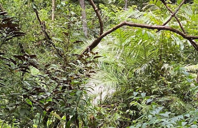 Vila Morena Altos de Itapororoca - Foto 79