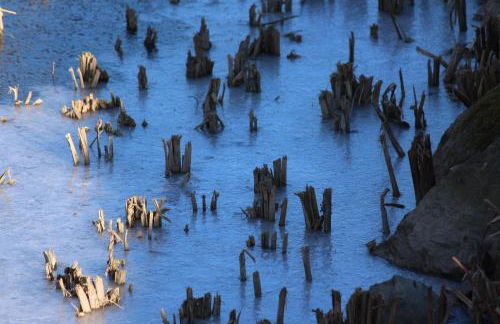 Casa Nonna Teresa - Foto 37