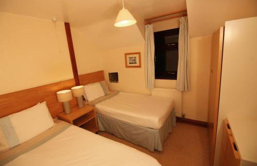 David's Organic Farm Wales - Foto 9