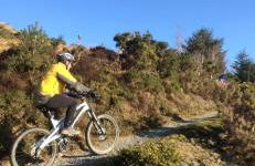 Bronfelin & Troed-y-rhiw Holiday Cottages - Foto 54