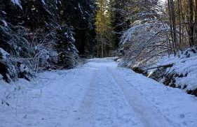 Gîte et Gîte Equestre Au Galop des 1000 Etangs - Foto 25