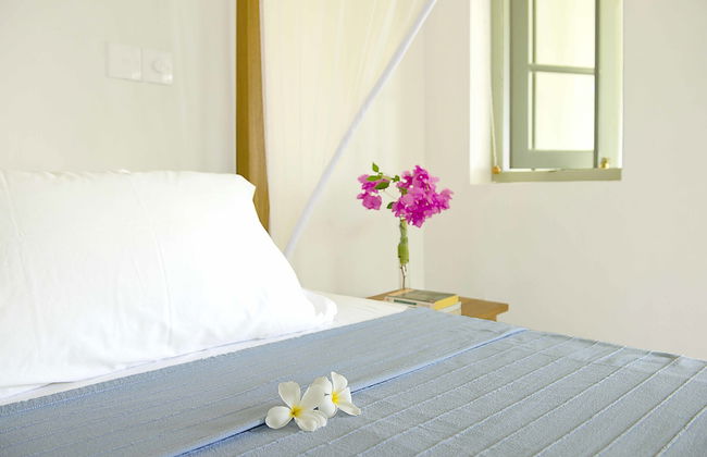 Suriyawatta - Photo 3