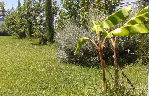 Quinta da Fornalha - Santuario Agroecologico - Foto 39