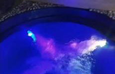 Casa São Vicente - 10 min from Praia Grande Ocean - Foto 1