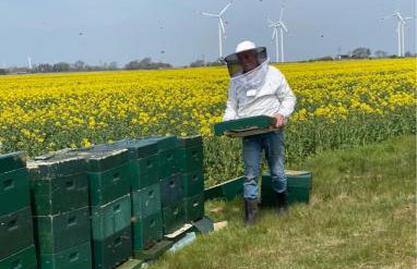Emmis-Ferienhaus - Foto 17