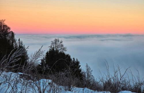 Ferienwohnungen Dorfliebe Dörnberg - Photo 74
