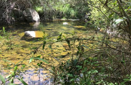 Malhada do Sao - Foto 62