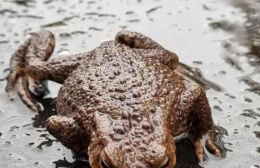 Harbourside - Foto 37