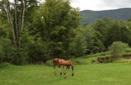 The Hunter Cabin at Sky Hollow - Foto 34