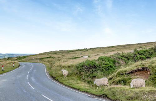 Preselli View Cottage - Uk37755 - Foto 26