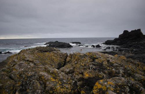 Casa Cruzeiro AL - by the sea OCEANTUR - Photo 32