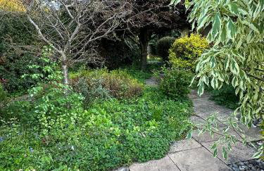 Apple-tree lodge - Foto 54