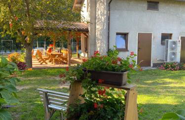 Maciejówka Gospodarstwo Agroturystyczne - Foto 26