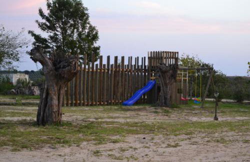 Monte das Palmeiras - Foto 39