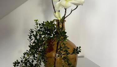 Petite maison de village - Foto 5