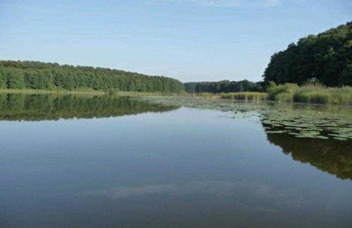 Ferienhaeuser Auszeit am Grossen Labussee - Photo 8