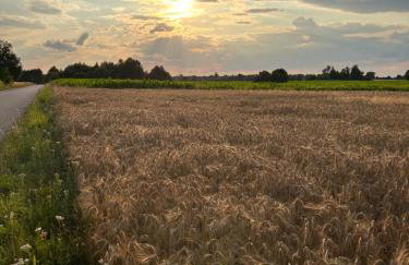 Baciki 61- domek przy lesie - Foto 30